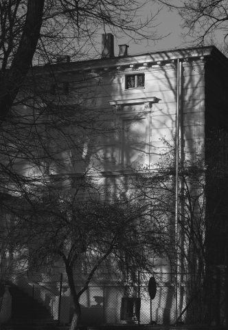 A tenement building with a single window open, revealing a glimpse of life inside, set against a backdrop of soft natural light and gentle shadows, creating a serene and contemplative atmosphere in an urban environment